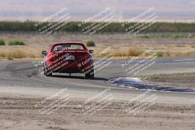 media/Oct-04-2025-OnGrid (Sat) [[44bd565ffa]]/Purple Group/Grapevine/